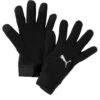 Teamliga 21 Winter - Hansker - Puma Black